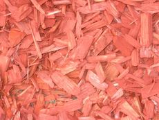 roter Mulch1.jpg